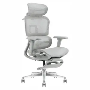 NeoSpine Ergonomic Best Chair For Office 