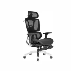 TaskHalo Ergonomic Chair For Office