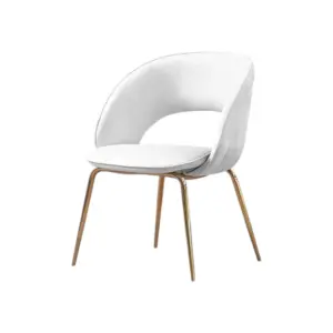 Elara Dining Chairs For Hotel 