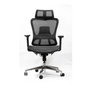 NeoSpine Ergonomic Office Chair 