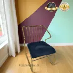 dvsv