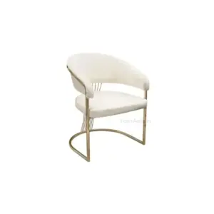 Aziel Chair For Dining