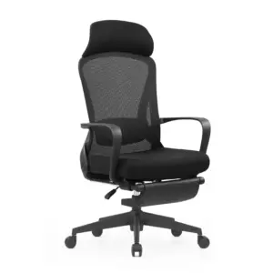 Workhorse Ergonomic Computer Chairs For Office