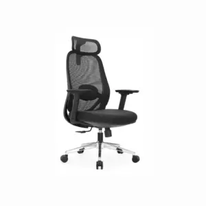 Spinalux Ergonomic Work Chair For Office