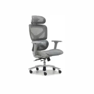Wexora Ergonomic Ergo Chair For Office 