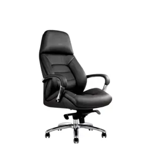Echelon Executive Ergonomic Chairs