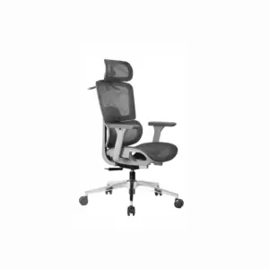 Voltrex Ergonomic Chairs For Office