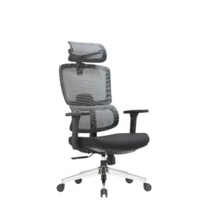 Diplo Ergonomic Comfortable Chair For Office 