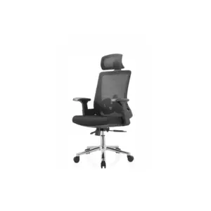 Trosen Best Ergonomic Chair For Office