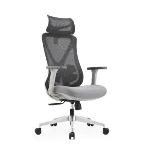 Hyrest Ergonomic Computer Chairs For Office