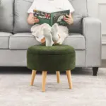 pdt (9)