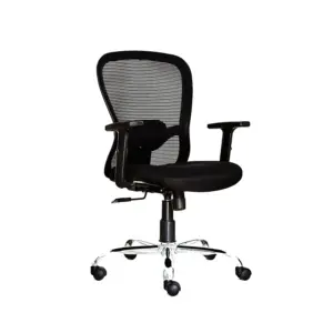 Amihan Office Computer Chairs