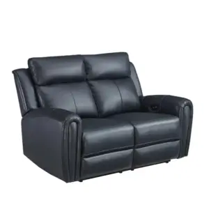 Larrikin Motorized Two Seater Recliner Sofa 60"