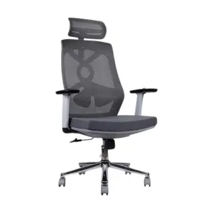 Coast Ergonomic Chairs For Office