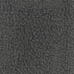 Swagman 1 Rec DG (3)