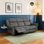 Swagman 3 Rec DG (1)