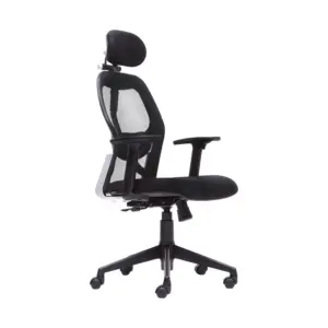 Workaroo Computer Chair For Office