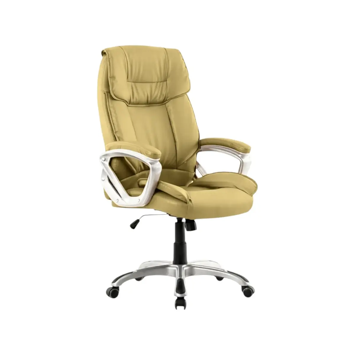 ErgoWin Office Chair BG (1)