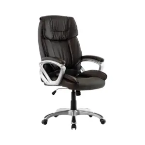 ErgoWin Executive Office Chairs