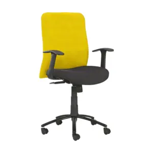 Eterna Simple Office Chair