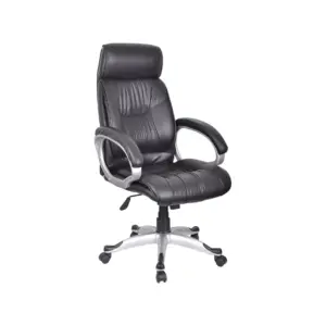 FlexStuhl Leather Office Chair