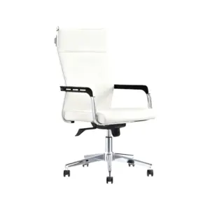 FlexiSitz Ergonomic Desk Chair For Office