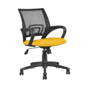 Formax Office Best Chair