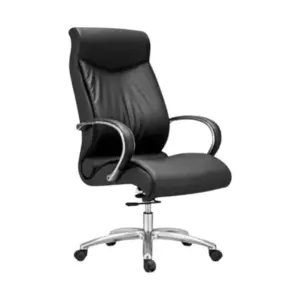 Ariston Executive Chair For Office