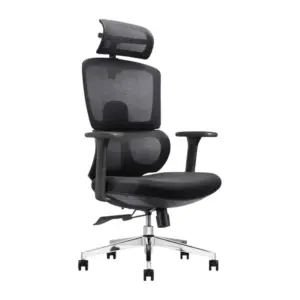 Borello Ergonomic Chairs For Office
