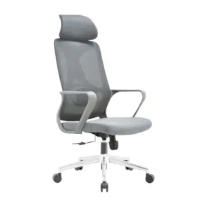 Chromis Ergonomic Chair For Office
