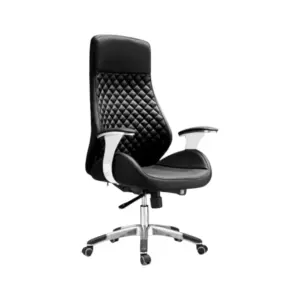Crownline Executive Office Ergo Chair
