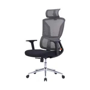 Daigo Ergonomic Best Chair For Office