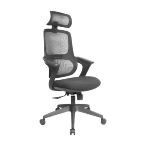 Dominex Ergo Chair For Office 
