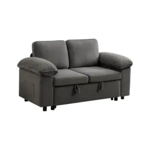 Glorion Single Couch Sofa Cum Bed 60"