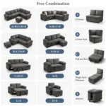 Glorion Sofa-CumBed (5) dgr