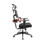 Homey Office Chair (2)