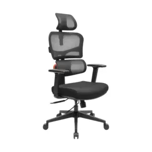 Homey Ergonomic Office Chair