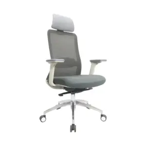 Horizon Ergonomic Best Chair For Office