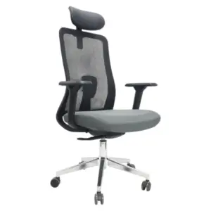 Ignite Ergonomic Chairs For Office