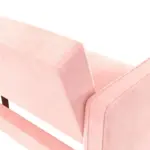 Lancaster Sofa-CumBed Pnk (19)