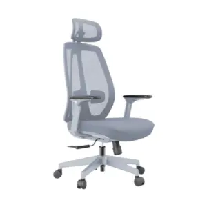 Miyabi Ergonomic Computer Chairs For Office