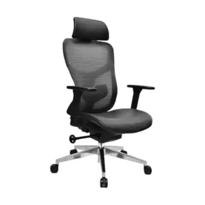 Motiona Ergonomic Office Ergo Chair