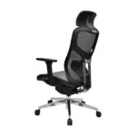 Motiona Office Chair (5)