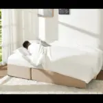 Napster Sofa-CumBed Beige (6)