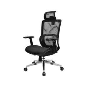 PrimaWerk Office Ergonomic Chair