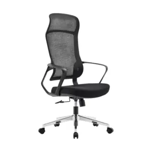 Zenrai Best Ergonomic Chair