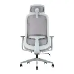 Zypher Office Chair (2)