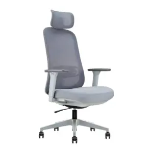 Zypher Ergonomic Comfortable Office Chair