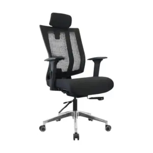 Camden Ergonomic Chair For Office