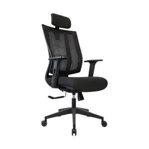 CortlandEco Ergonomic Chair For Office